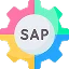 SAP Module Development